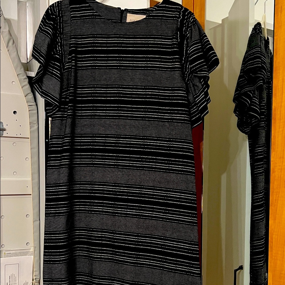 Moon River Black Striped Mini Dress